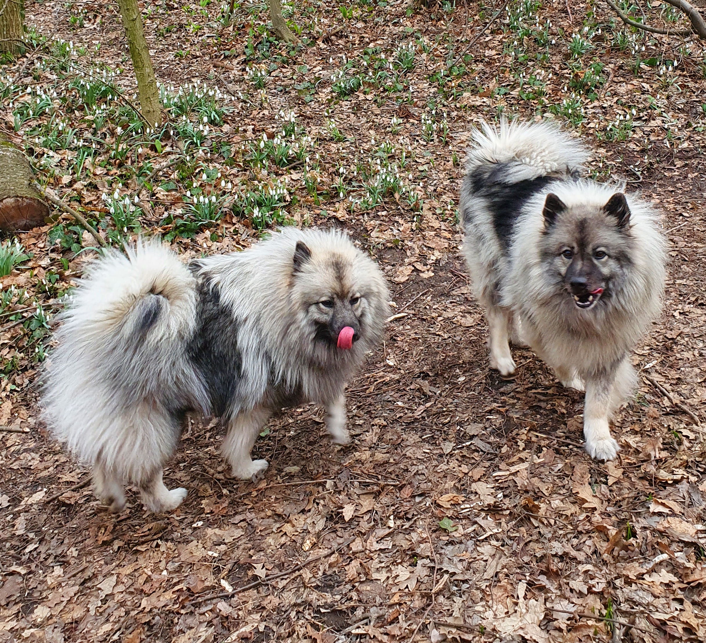 daisy und gina